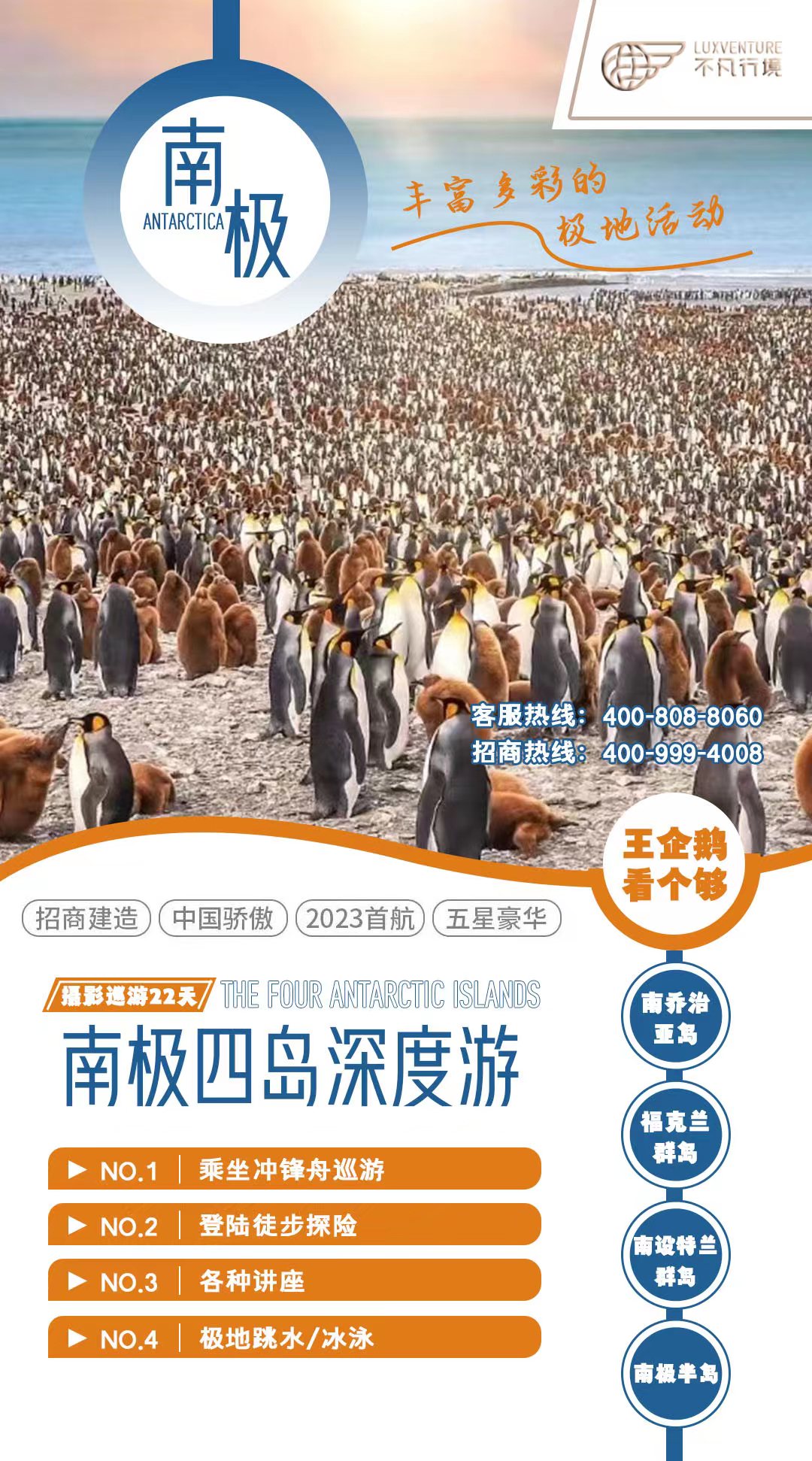 邂逅60万王企鹅+南极四岛王企鹅摄影巡游